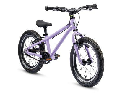 B16A Violet