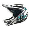 Troy Lee Designs D4 POLYACRYLITE MIPS THE LINE CHARCOAL / WHITE (Veľkosť L)