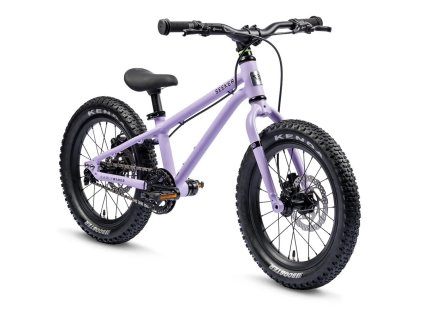 S16 Violet ezgif.com webp to jpg converter