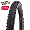 schwalbe racing ray evolution addixspeed superrace transparent skin 860824predanaaaaaaaa