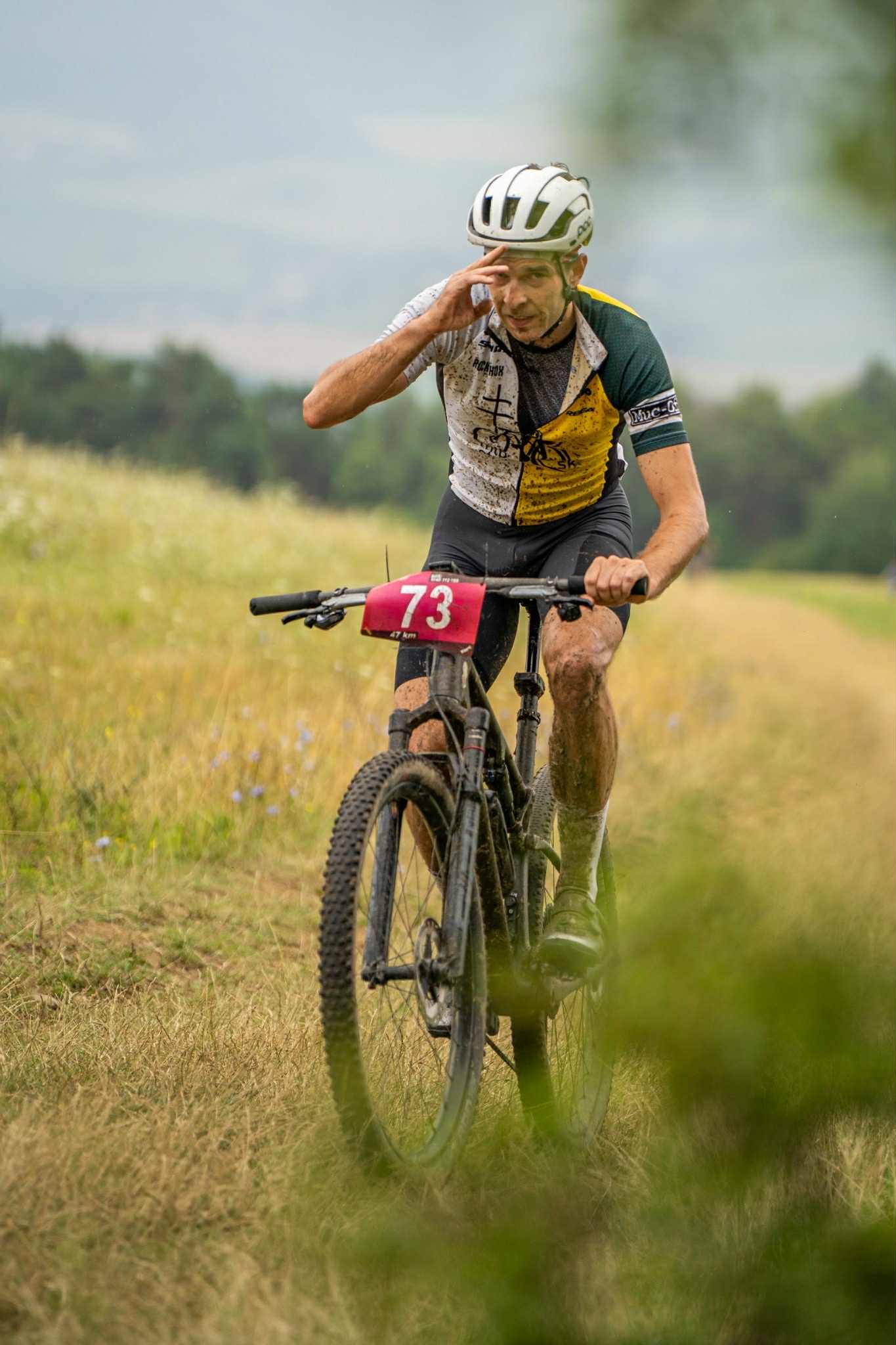 70e01c45-3898-4d0a-a202-f273c2844380