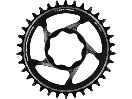 ethirteen espec Direct Mount Kettenblatt