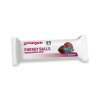 Energy Balls Blueberry