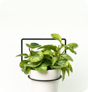 Držáky na květiny