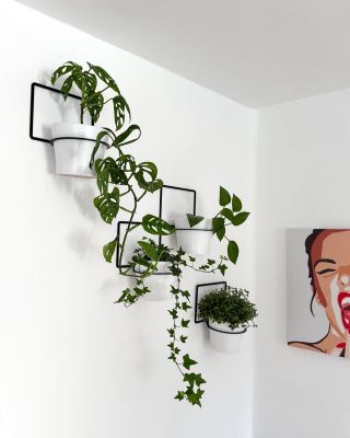 Děkujeme za fotku😊🙋‍♀️ 🎁🎁Nyní si je můžete pořídit s PPL dopravou ZADARMO🤩 Naše originální řešení: ✅když je málo místa,...