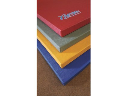 Žíněnka Judo 100x100x4 cm, RG 200, modrá