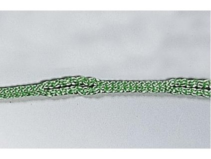 Vázací šňůra Isilink PP 3 mm, délka 30 cm, zelená