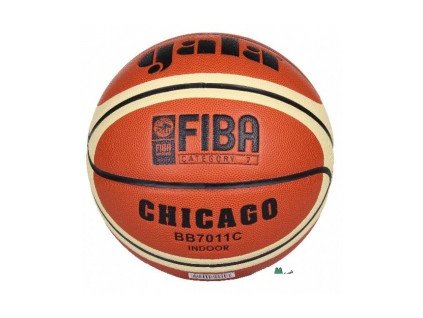 Basketbalový míč Gala Chicago 6