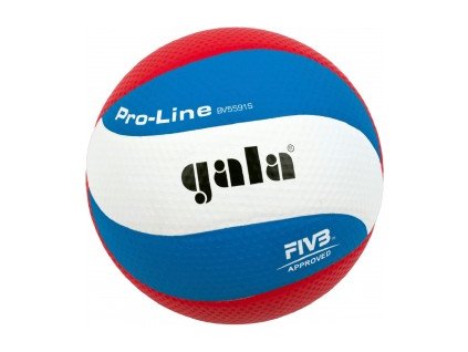 Volejbalový míč Gala Pro-line 10 panelů 5591 S