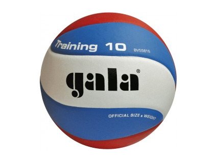 Volejbalový míč Gala Training 10 panelů