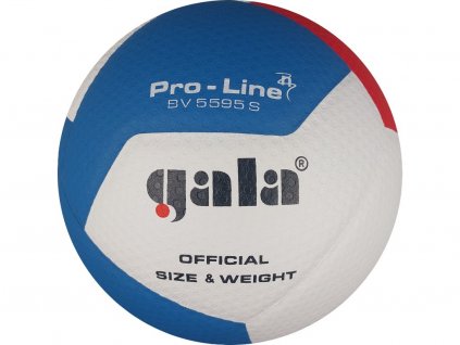 Volejbalová lopta Gala Pro-line 12 5595 S