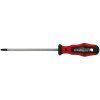 sroubovak torx 20 100 mm profi 4czech