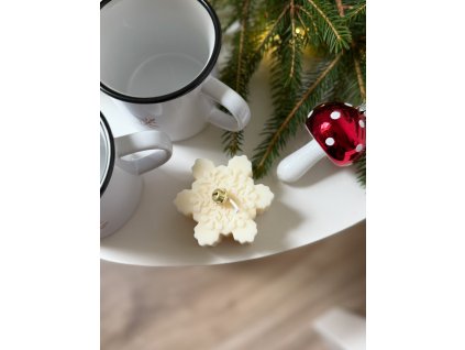 Vločka jablko skořice