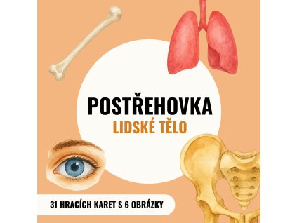 Postřehovka - LIDSKÉ TĚLO