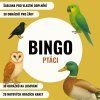 Bingo - PTÁCI