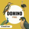 Domino - PTÁCI