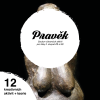 pravěk