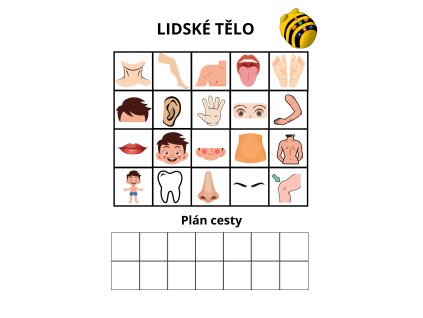 Sada plánů na programování Bee Bot - Lidské tělo