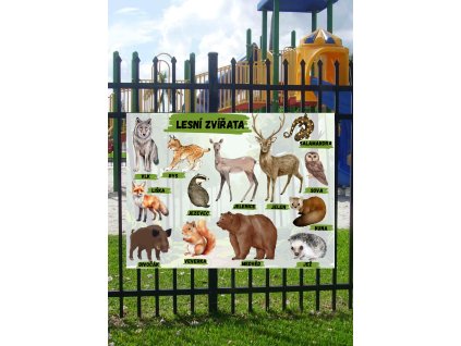 Edukační tabule -  Lesní zvířata