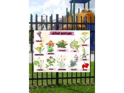 Edukační tabule -   Léčivé rostliny