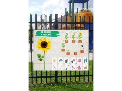 Edukační tabule -   Od semínka k rostlině