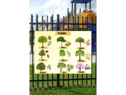 Edukační tabule -  Stromy