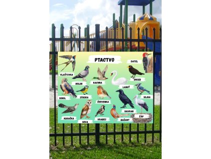 Edukační tabule -   Ptactvo