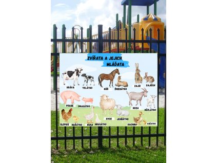 Edukační tabule -   Zvířata a jejich mláďata