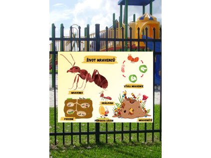 Edukační tabule -   Život mravenců