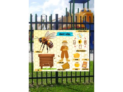 Edukační tabule -   Život včel