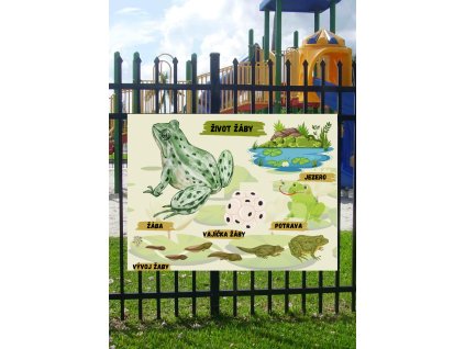 Edukační tabule -   Život žáby