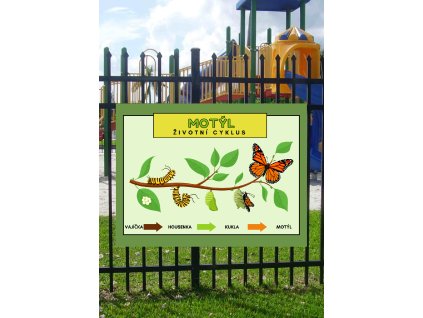 Edukační tabule -   Životní cyklus motýla