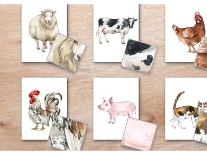 Identifikační karty DOMÁCÍ ZVÍŘATA + lupa