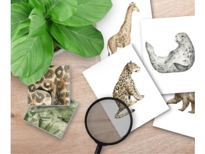 Identifikační karty EXOTICKÁ ZVÍŘATA + lupa