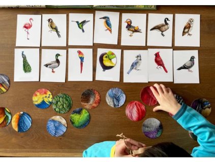 Identifikační karty PTÁKY + lupa