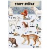 Přiřazovačka - Stopy zvířat + dva plakáty