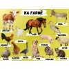 Edukační tabule -   Na farmě
