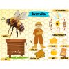 Edukační tabule -   Život včel