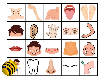 Podložka pod Bee-Bot - Ľudské telo