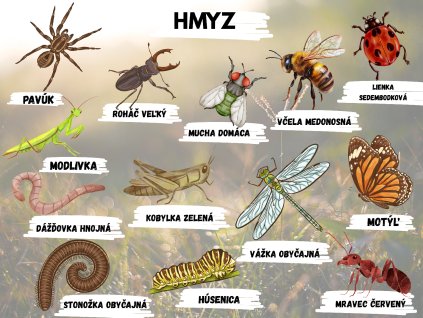 nové edukačné tabule (14)