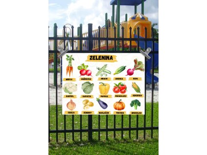 Edukačná tabuľa - Zelenina (dostupné aj v českom jazyku)