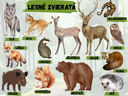 nové edukačné tabule (27)