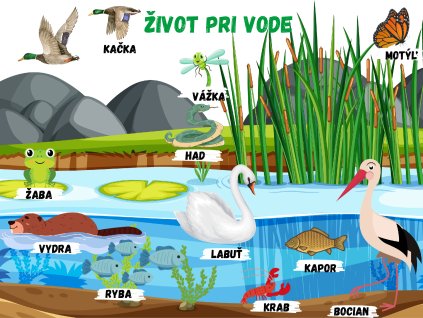 nové edukačné tabule