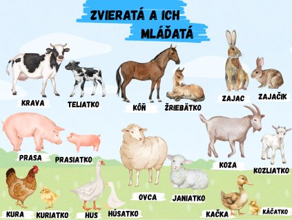 nové edukačné tabule (35)