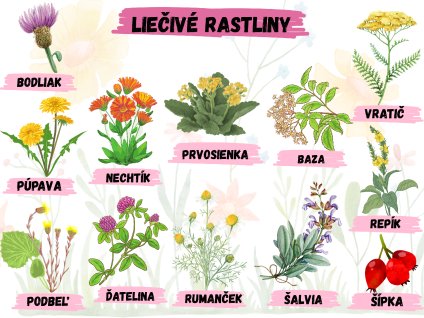 nové edukačné tabule (33)