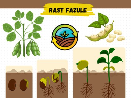 nové edukačné tabule (40)