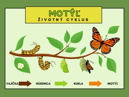 nové edukačné tabule (41)