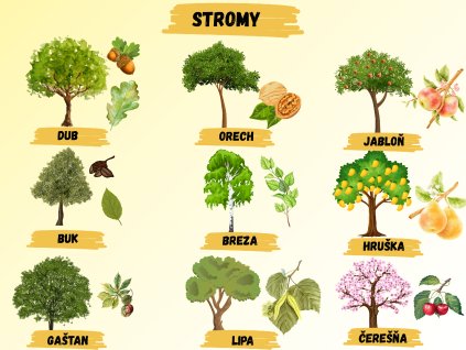 nové edukačné tabule (43)