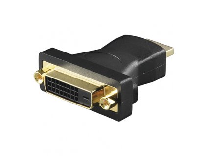 HDMI/DVI-D 1