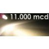 LED3MMW-WS/11000